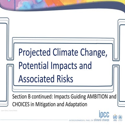 SBSTA - IPCC Special Event - Projected climate change, potential impacts and ...