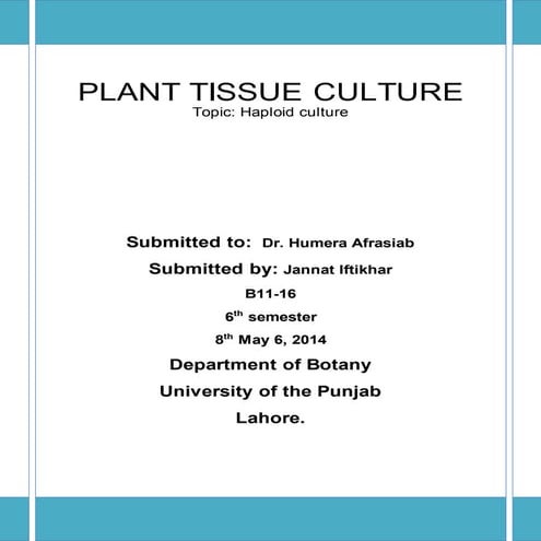 Haploid culture final