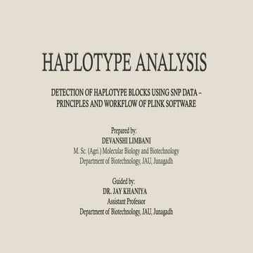 Haplotype Analysis and Detection of Haplotype Blocks Using SNP Data ...