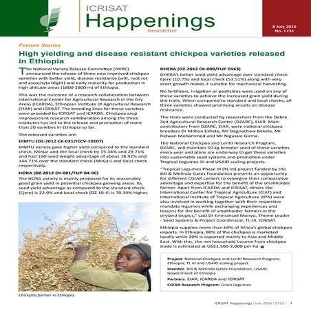 High yielding and disease resistant chickpea varieties released in Ethiopia