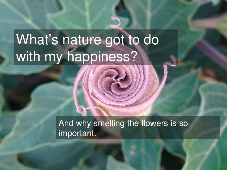 What does nature have to do with happiness?