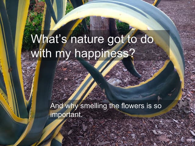 What does nature have to do with ha...
