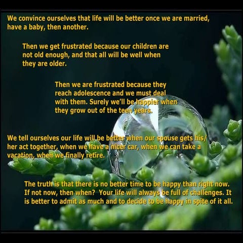 Happyness is the voyage