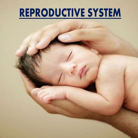 Human Reproduction 