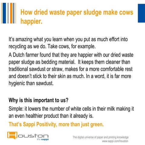 Happy cows | PDF