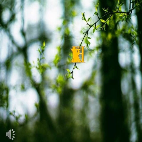 Happy easter! (v.m.)