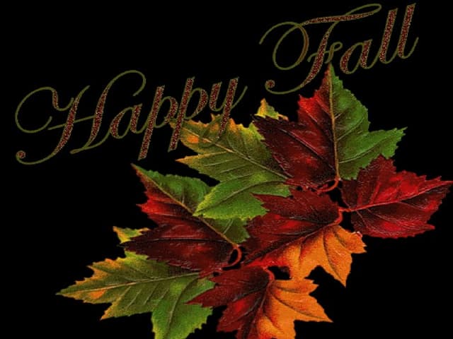 Happy fall   ildy