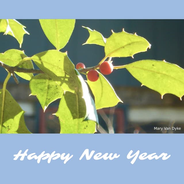 Happy Holly New Year ~ Mary Van Dyke.pdf