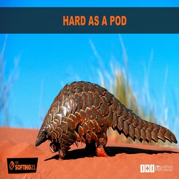 VLCSofting 2021 - HARD AS A POD 落. HARDENING DE DESPLIEGUES EN KUBERNETES CON...