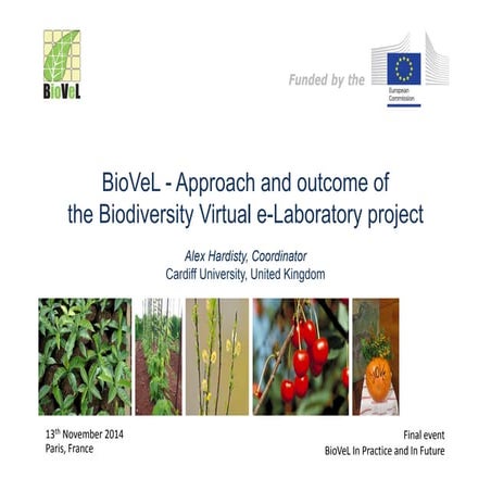 Approach and outcome of the Biodiversity Virtual e-Laboratory (BioVeL) project