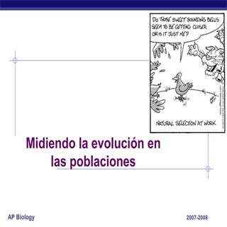 El equilibrio Hardy Weinberg