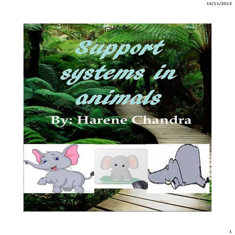 Support systems in animals 