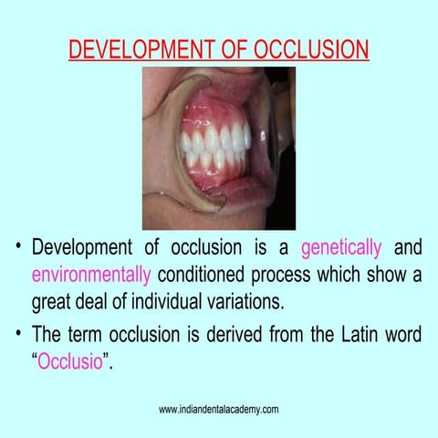 development of occlusion