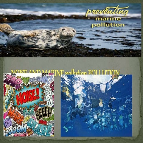 Noise and Marine pollutions