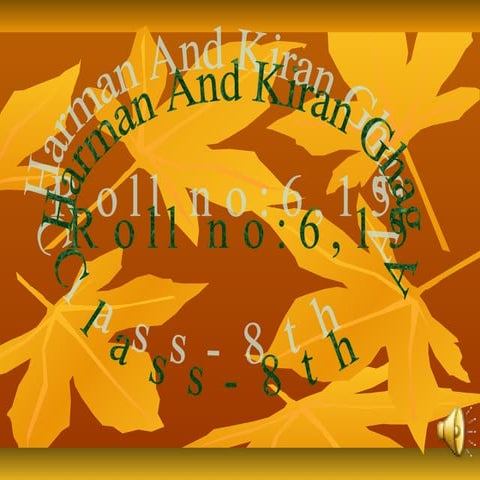 Harman and kiran ghag