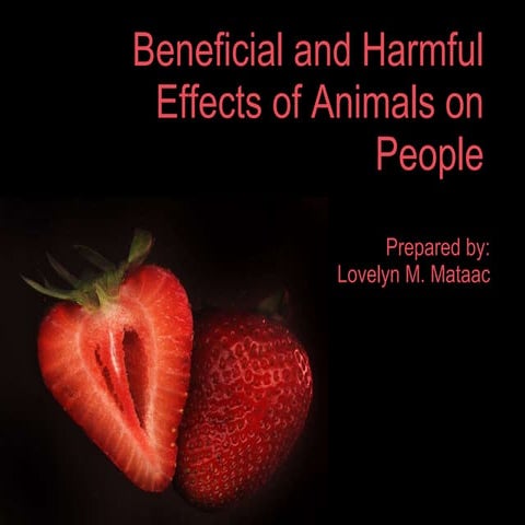 Harmful&Beneficial Effect Of Animals Grade 4