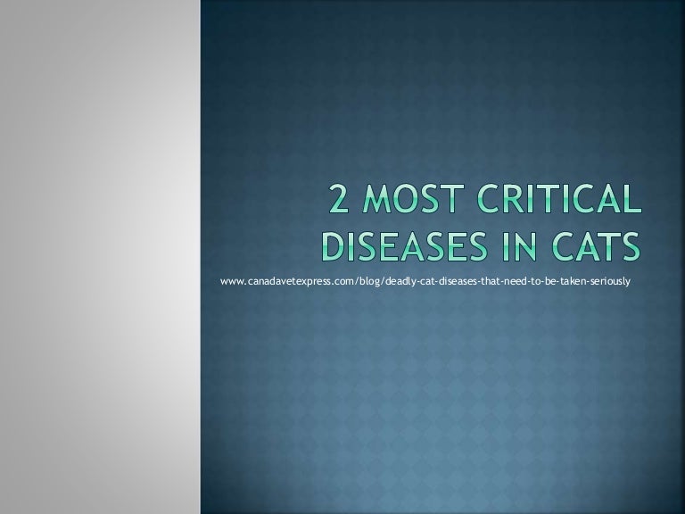 Harmful cats diseases
