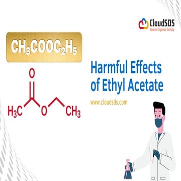 Harmful Effects of Ethyl Acetate by Cloud SDS