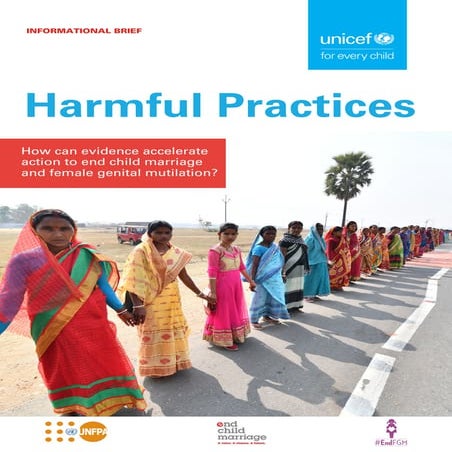 Harmful Practices - Project Brief 
