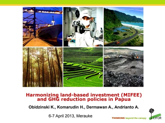 thumbnail of  Harmonizing land-based investment (MIFEE) and GHG reduction policies in Papua