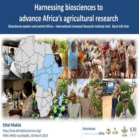 Harnessing biosciences to advance Africa’s agricultural research