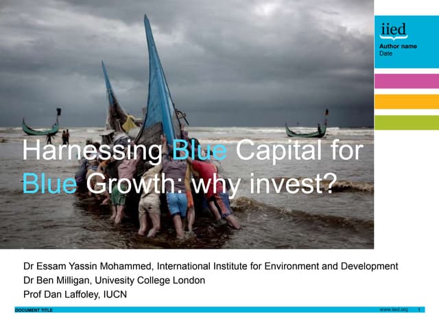 Harnessing blue capital for blue growth: Why invest?