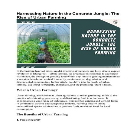 Urban Farming: 3 Benefits, Challenges & The Rise of Green Cities | CIO ...