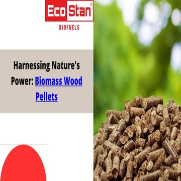 Harnessing Nature's Power Biomass Wood Pellets.pptx
