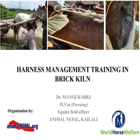 Harness management by Dr.Manoj karki 
