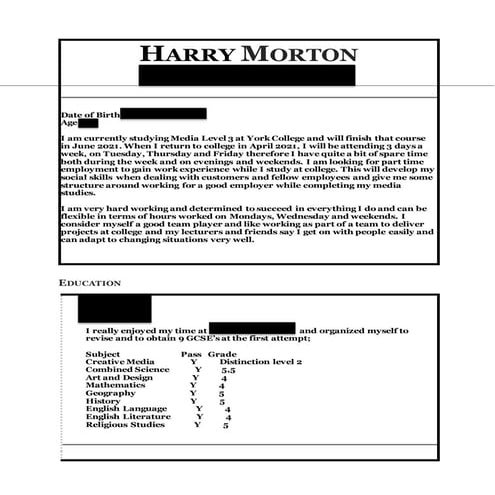 Harry Morton CV