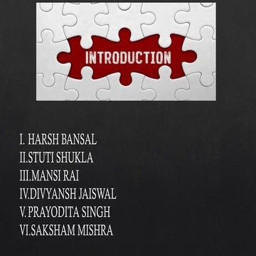 Harsh presentation.pptx presentation on income