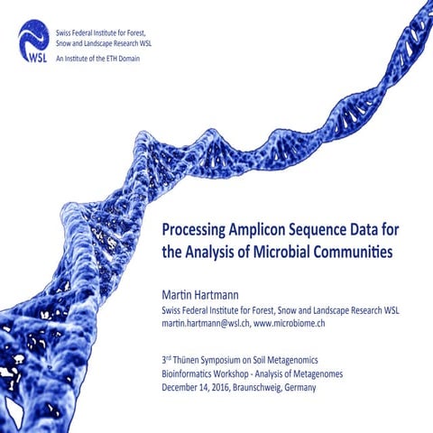 Processing Amplicon Sequence Data for the Analysis of Microbial Communities