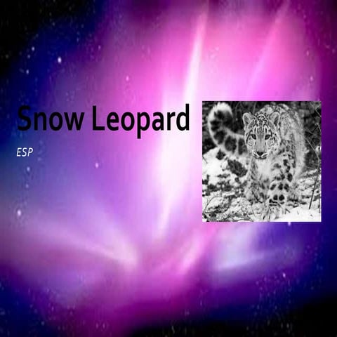 Snow Leopards | PPTX