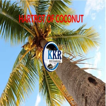 HARTROT OF COCONUT K R.                pptx