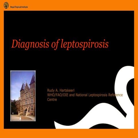 Diagnosis of leptospirosis