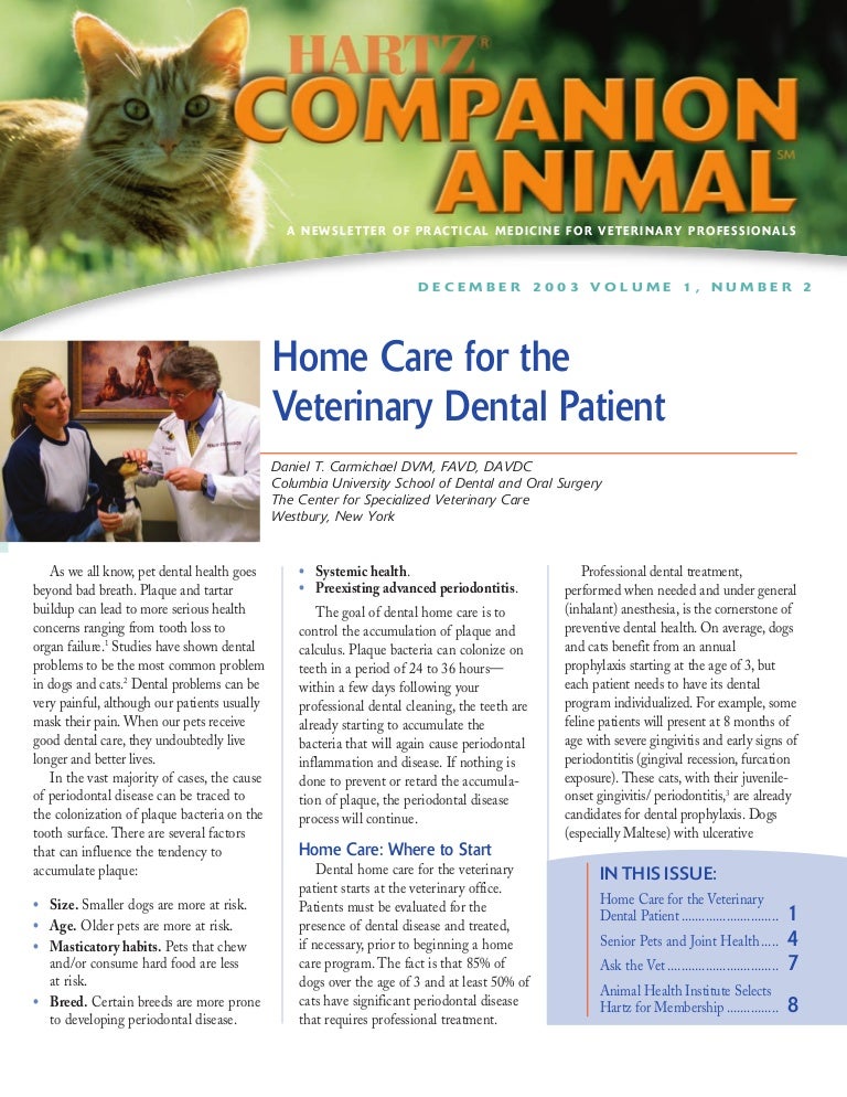 Home Care Vet