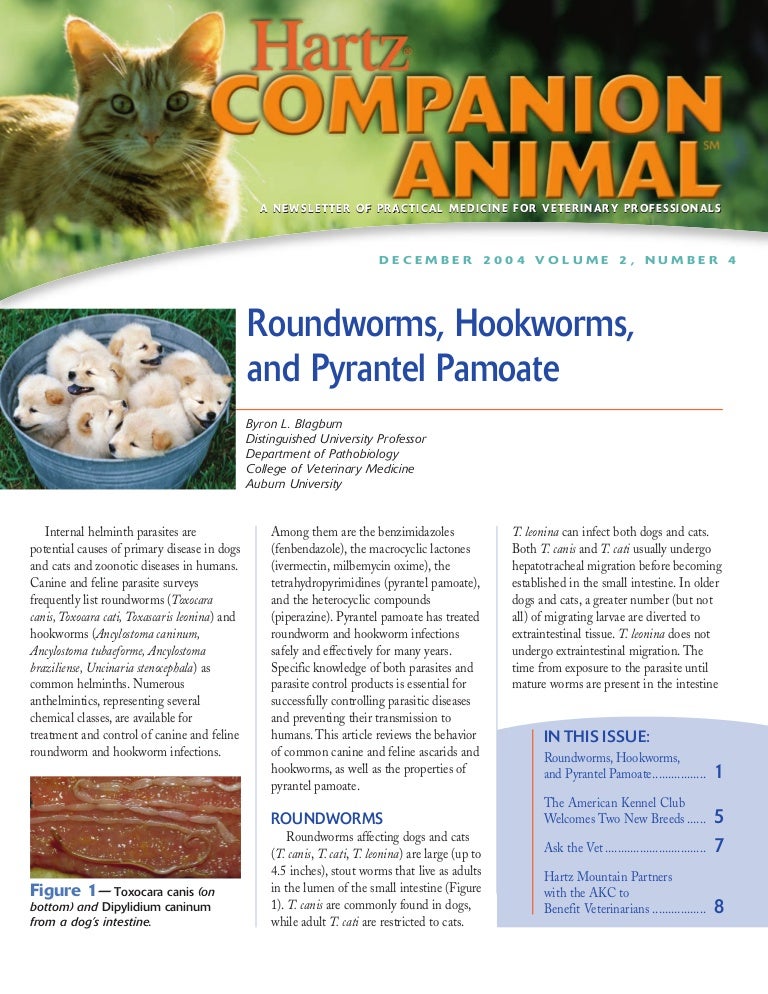 Hartz Companion Animal Roundworms Hookworms And Pyrantel Pamoate