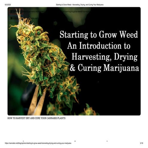 How to Grow Cannabis? | PDF