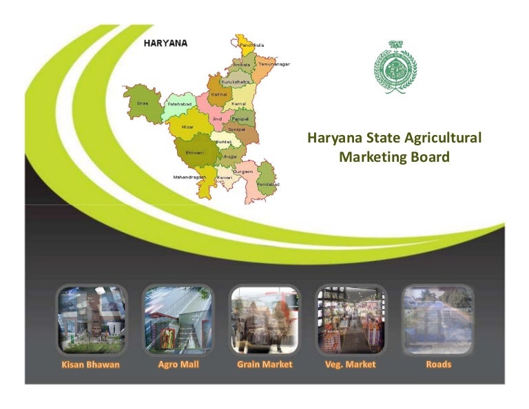 haryana-state-agricultural-marketing-board