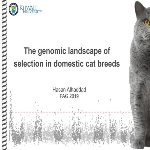 Cat signatures of selection