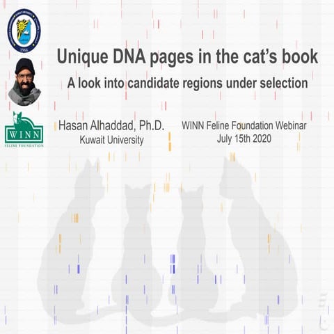Unique pages in the cat's book