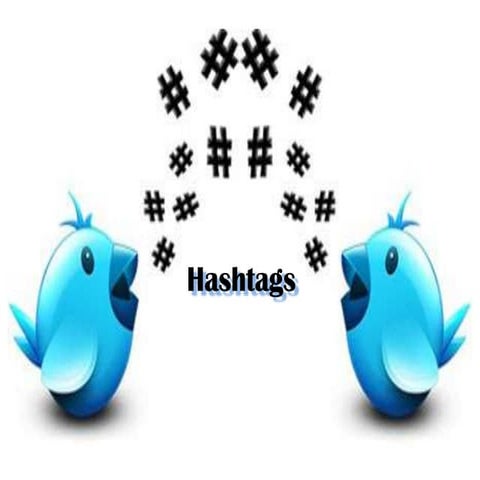 How To Use Hashtags to Build Your Brand / Business