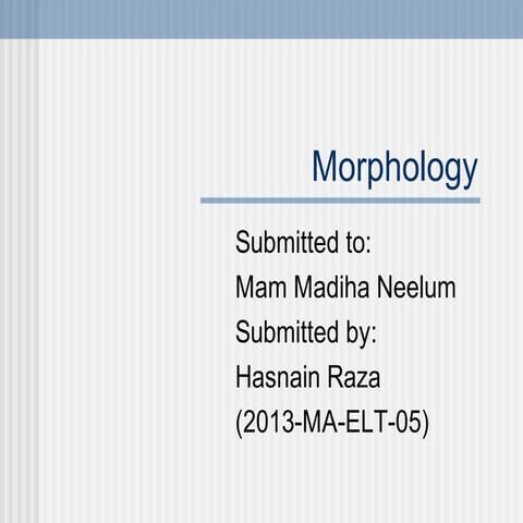 Hasnain morphology