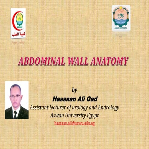 ABDOMINAL WALL ANATOMY 