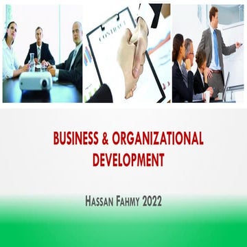 Business & Organizational Development - Hassan Fahmy