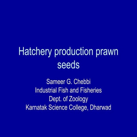 Hatchery production prawn seeds