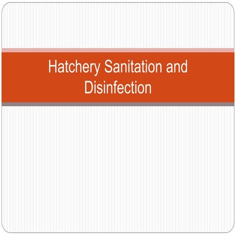 Hatchery sanitation