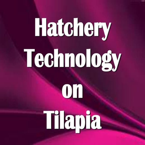 Hatchery technology on tilapia