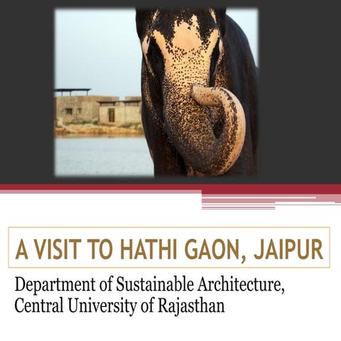 Hathi gaon