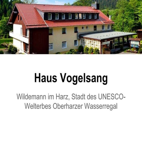 Haus Vogelsang, Wildemann im Harz